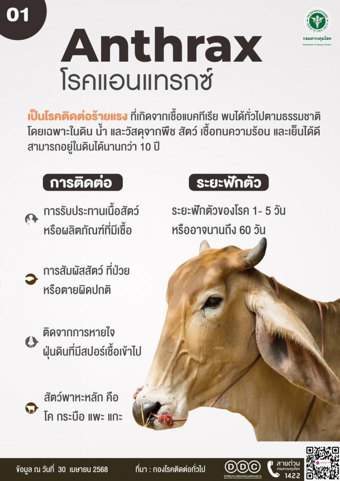 โรคแอนแทรกซ์ (Anthrax)